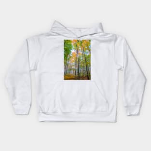 Autumn in the Tree Tops Kids Hoodie